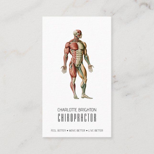 Anatomischer Body Chiropraktor Ernennung & Visitenkarte (Vorderseite)