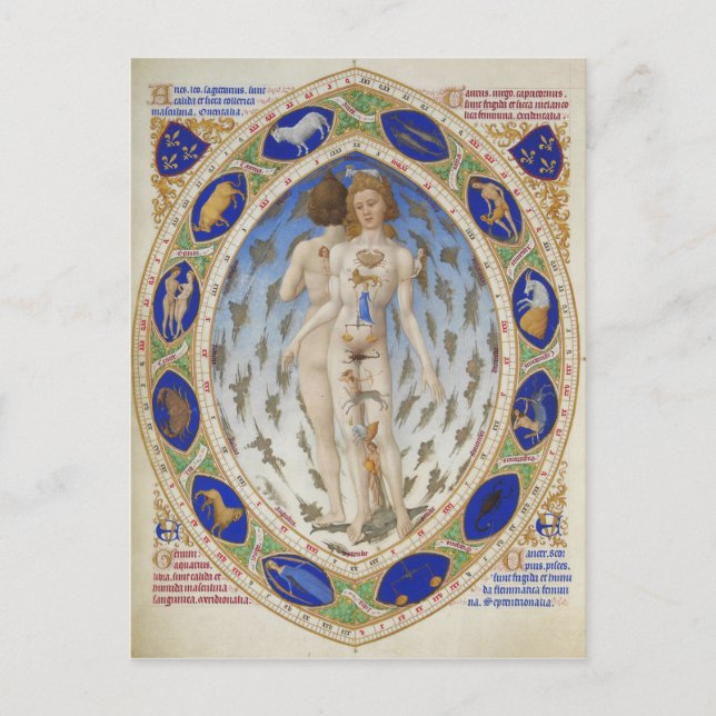 Anatomischer Mensch in Duke Berrys Très Riches Heu Postkarte (Vorderseite)