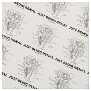 Anatomischer Nephron NierenSpaß gerade seiend Stoff