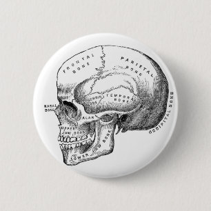 Anatomischer Schädel-Button-Knopf Button