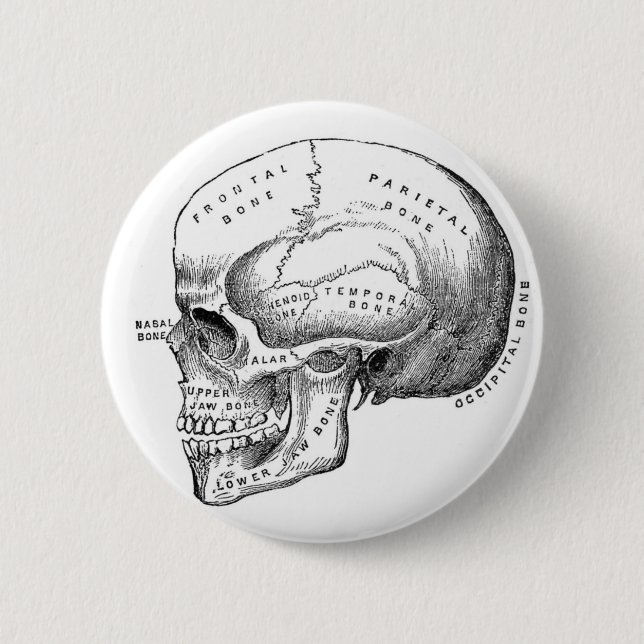 Anatomischer Schädel-Pin-Button Button (Vorderseite)