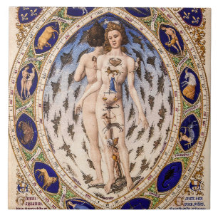 Anatomischer Zodiakmann Fliese