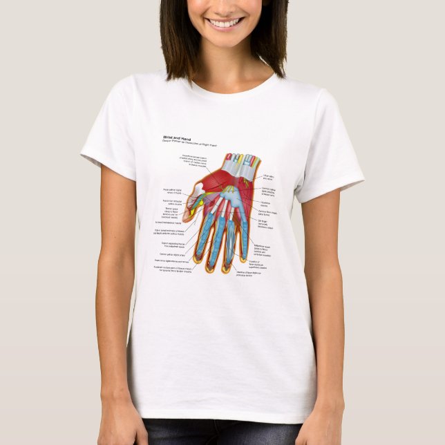 Anatomisches Diagramm der menschlichen Hand und T-Shirt (Vorderseite)