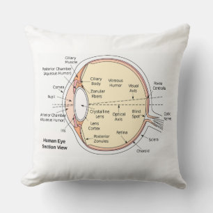Anatomisches Diagramm für das menschliche Auge Kissen