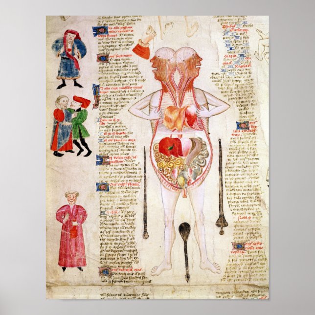 Anatomisches Diagramm Poster (Vorne)