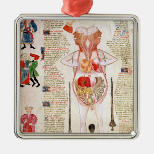 Anatomisches Diagramm Silbernes Ornament