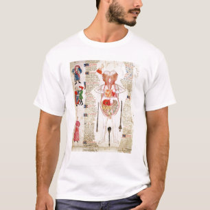 Anatomisches Diagramm T-Shirt