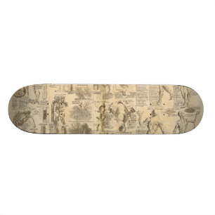 Anatomisches Diagramm von Cyclopaedia 1728 Skateboard