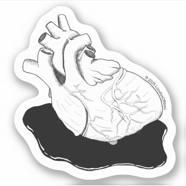 Anatomisches Herz Aufkleber (Vorderseite)
