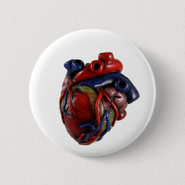 Anatomisches Herz Button (Vorderseite)