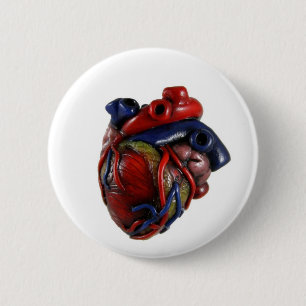 Anatomisches Herz Button