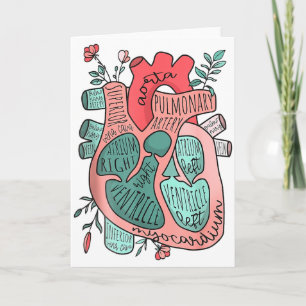 Anatomisches Herz Kardiologie Icu Cvicu Krankensch Karte
