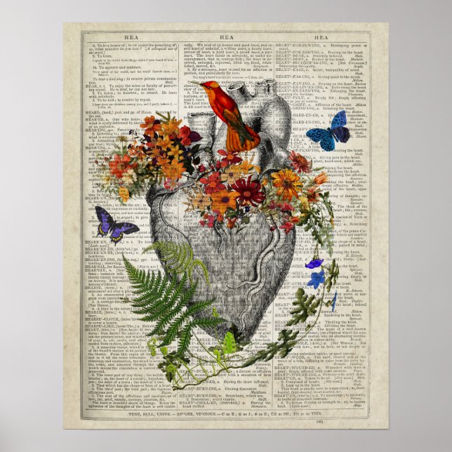 Anatomisches Herz mit Blume & Hummingbird Poster (Vorne)