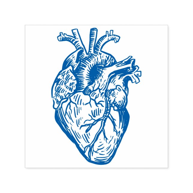 Anatomisches Herz Permastempel (Design)