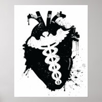 Anatomisches Herz von Caduceus