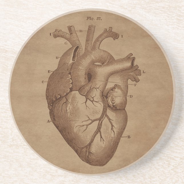 Anatomisches Herzgraben auf gealtertem Papier Getränkeuntersetzer (Vorne)