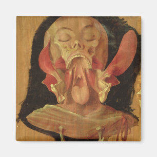 Anatomisches Zeichnen des Kopfes Magnet