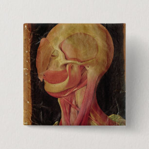 Anatomisches Zeichnen des menschlichen Kopfes Button