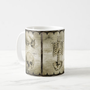 anatomisieren kaffeetasse