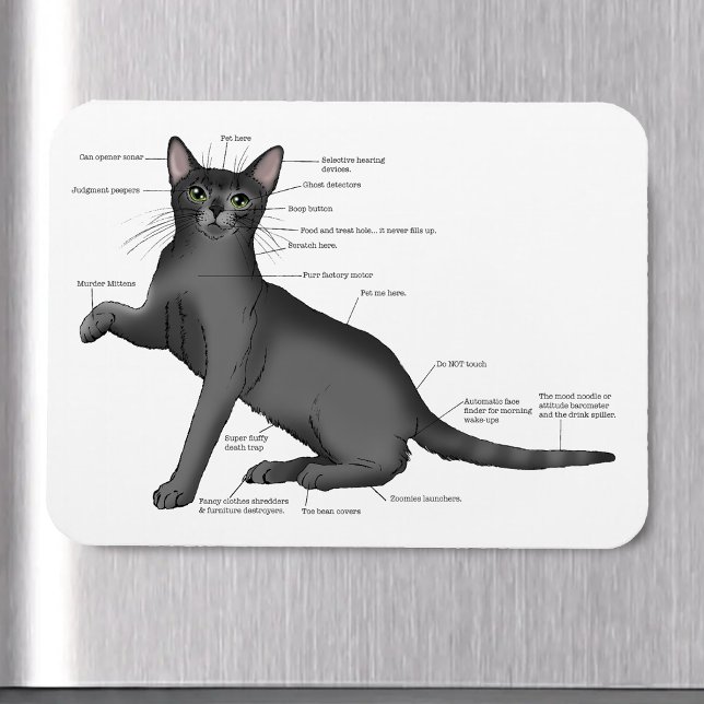 Anatomy Cat Funny Magnet (Von Creator hochgeladen)
