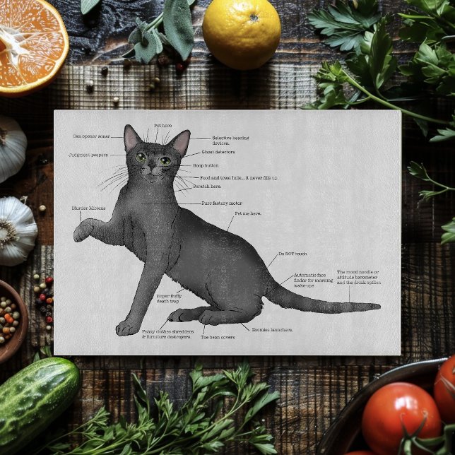 Anatomy Cat Funny Schneidebrett (Von Creator hochgeladen)