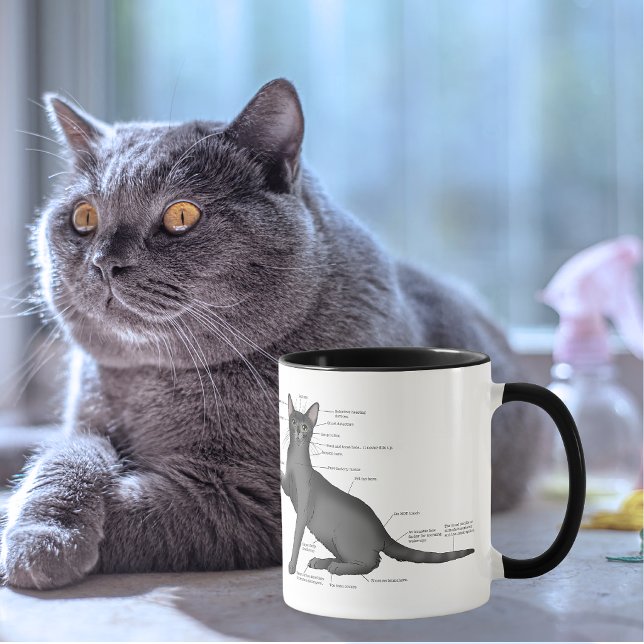 Anatomy Cat Funny Tasse (Von Creator hochgeladen)