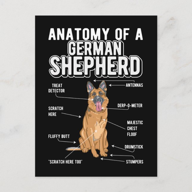 Anatomy Funny Dog Postkarte (Vorderseite)