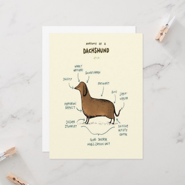 Anatomy Of A Dachshund Dachshund Dog (Vorderseite/Rückseite Beispiel)
