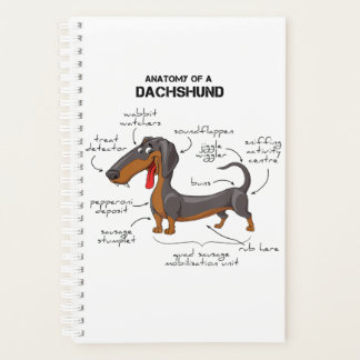 Anatomy Of A Dachshund - Funny Dog Planer