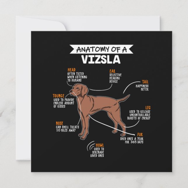 Anatomy Of A Vizsla Dog Einladung (Vorderseite)