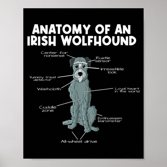 Anatomy Of An Irish Wolfhound  Poster (Vorne)