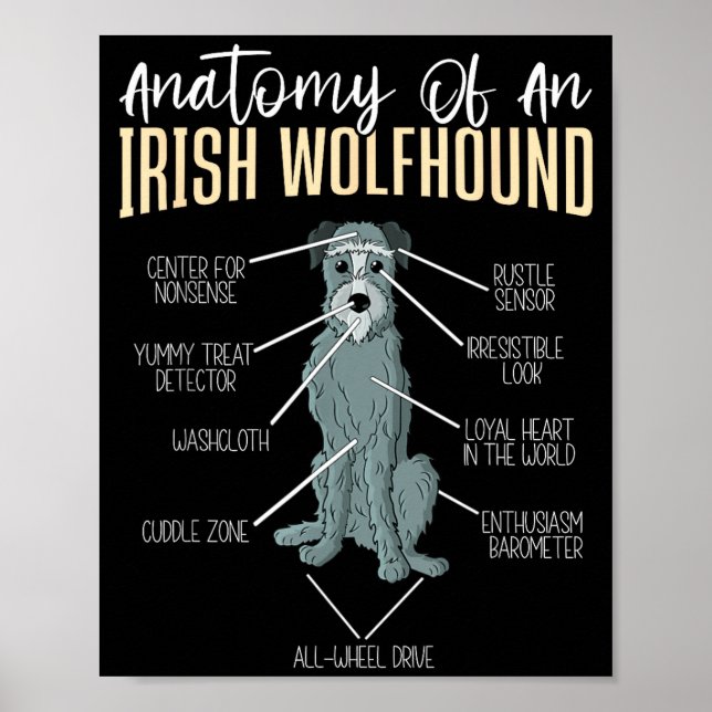Anatomy Of An Irish Wolfhound  Poster (Vorne)