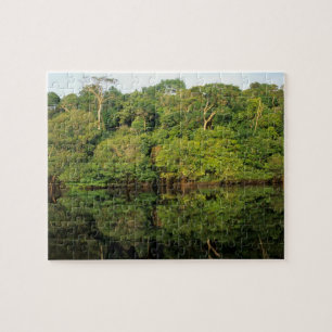 Anavilhanas, Amazonas, Brasil. Regenwaldfluss