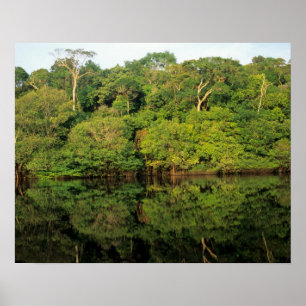 Anavilhanas, Amazonas, Brasil. Regenwaldfluss Poster