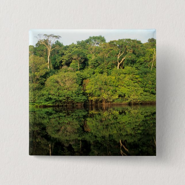 Anavilhanas, Amazonas, Brasilien. Regenwald Button (Vorderseite)