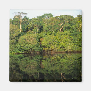 Anavilhanas, Amazonas, Brasilien. Regenwald Magnet