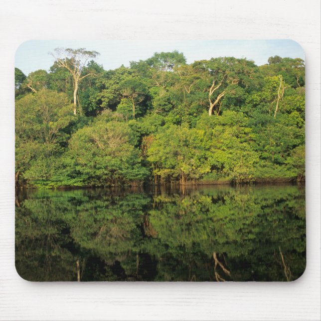 Anavilhanas, Amazonas, Brasilien. Regenwald Mousepad (Vorne)
