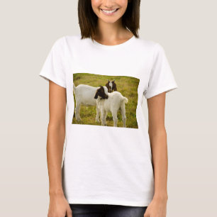 Anbetungswürdige Boer-Ziegen auf einer sonnigen We T-Shirt