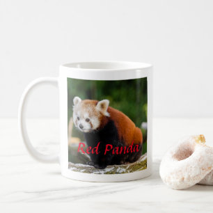 Anbetungswürdige Fotografie des Roten Pandas Kaffeetasse