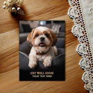 Anbetungswürdige Shih Tzu Gute Besserung Postkarte