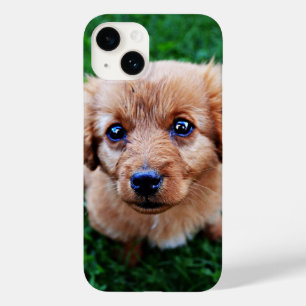 Anbetungswürdiger Welpe Süßes Foto Case-Mate iPhone 14 Hülle