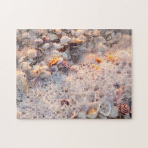 Anbrandende Wellen und Muscheln auf Sanibel Island