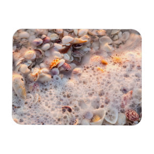 Anbrandende Wellen und Muscheln auf Sanibel Island Magnet
