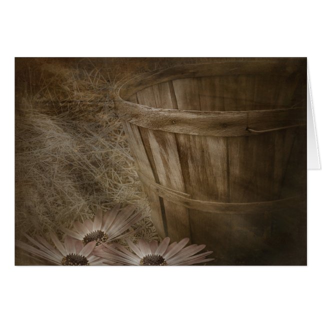 Ancien panier (Devant Horizontal)