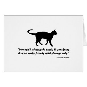 Ancien proverbe de chat