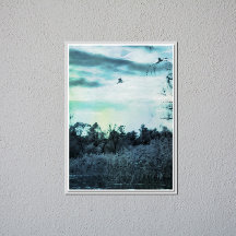 Ancienne Aquarelle avec un Oiseau Affiche Brillant