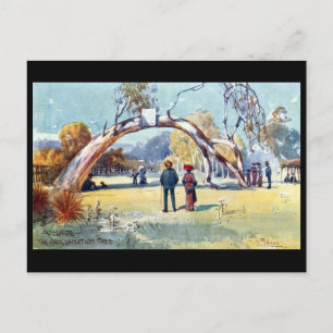 Ancienne carte postale - Adélaïde, Australie du Su