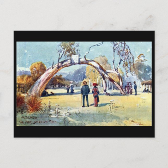 Ancienne carte postale - Adélaïde, Australie du Su (Devant)