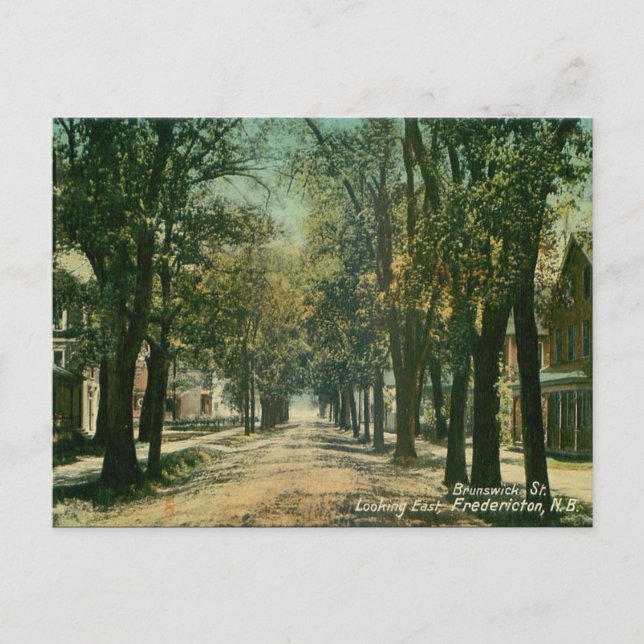 Ancienne carte postale - Fredericton (Nouveau-Brun (Devant)