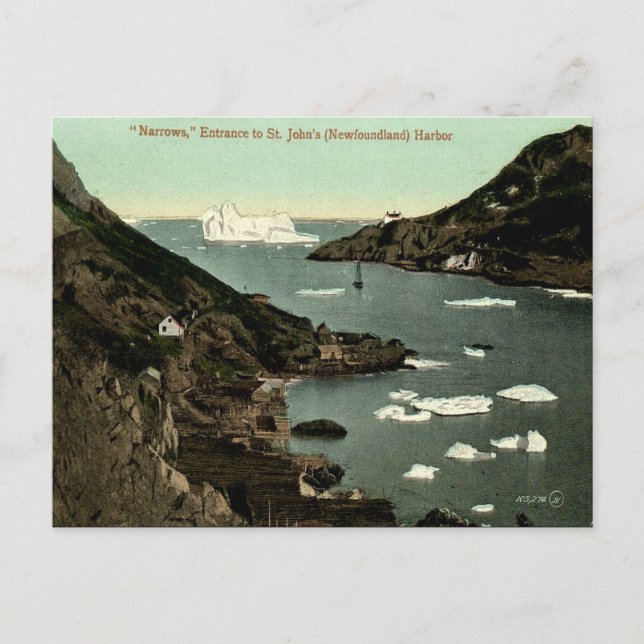 Ancienne carte postale - St John's (Terre-Neuve) (Devant)